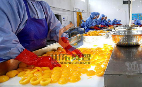 食品深加工 什么是深加工食品？